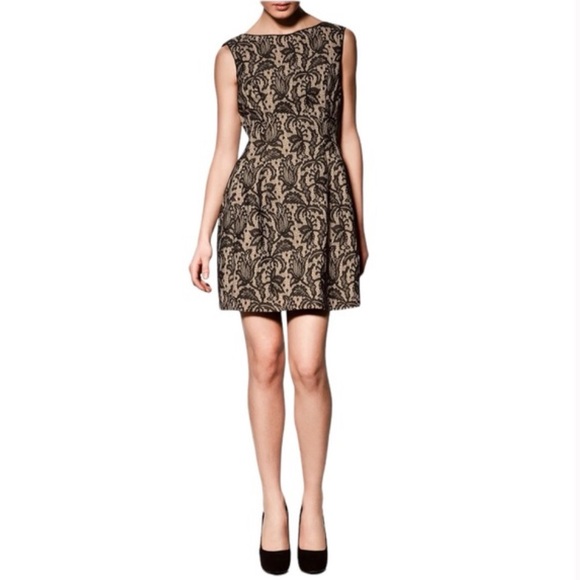 ZARA Kate Middleton Black Lace Tulip Fit & Flare Dress Size S - Picture 1 of 14
